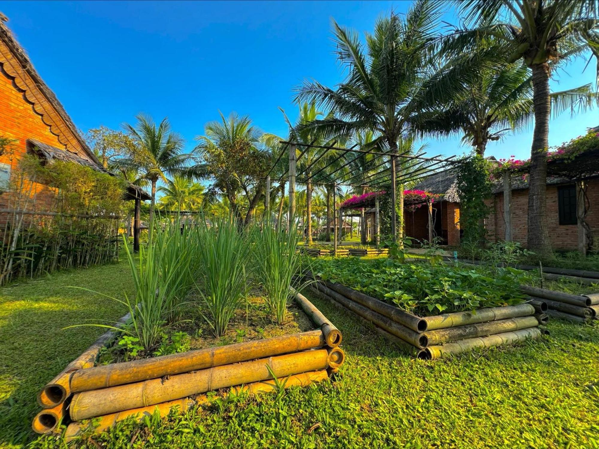 Enso Retreat Hoi An - Rediscovery & Serenity Экстерьер фото